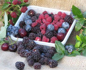 Bright Berry Farms - Accommodation Gladstone 0