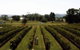 Rochford Wines - thumb 0