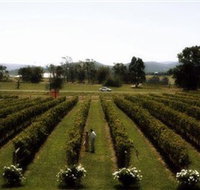 Rochford Wines - Accommodation Gladstone