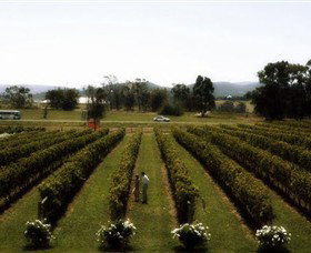 Rochford Wines - Accommodation Gladstone 0