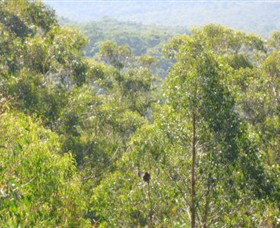 Bunyip State Park - Accommodation Gladstone 0