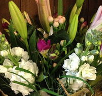Alpine Blooms Florist Mansfield - Accommodation Gladstone