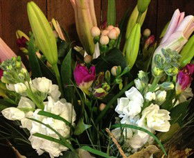 Alpine Blooms Florist Mansfield - Accommodation Gladstone 0