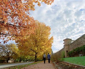 Beechworth Historic Park - Accommodation Gladstone 0