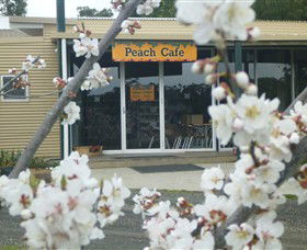 Rayner's Orchard - Accommodation Gladstone 0