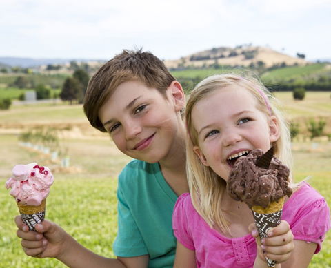 Yarra Valley Chocolaterie & Ice Creamery - Accommodation Gladstone 6