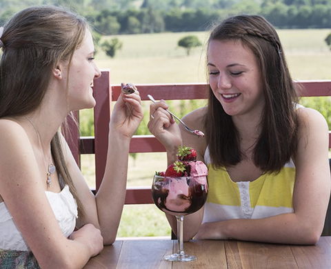 Yarra Valley Chocolaterie & Ice Creamery - Accommodation Gladstone 8