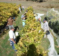 Blakes Estate Winery - Accommodation Gladstone