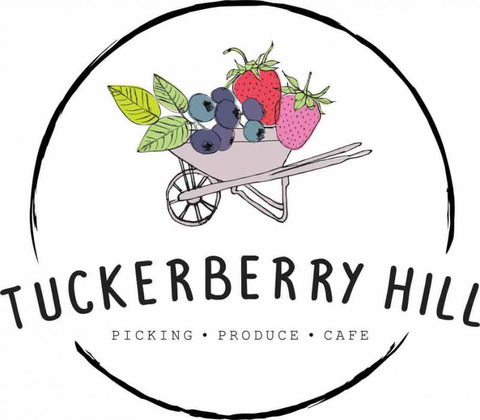 Tuckerberry Hill - Accommodation Gladstone 1