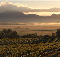 Montara Wines - Accommodation Gladstone