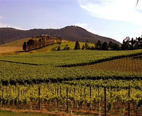 Soumah Of Yarra Valley - Accommodation Gladstone 0