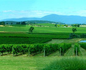 Acacia Ridge Vineyard - Accommodation Gladstone 0
