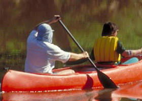 Yarra Bend Park - Accommodation Gladstone 0