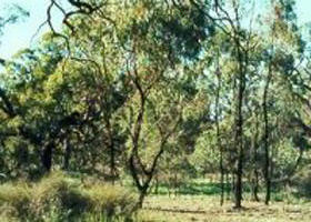 Fairley VIC Accommodation Gladstone