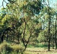 Leaghur State Park - Accommodation Gladstone