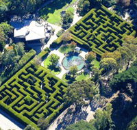 Ashcombe Maze  Lavender Gardens - Accommodation Gladstone