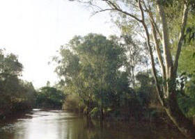 Banksia Park - Accommodation Gladstone 0