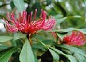 Alfred National Park - Accommodation Gladstone 0