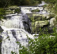 Agnes Falls Scenic Reserve - Accommodation Gladstone