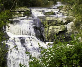 Agnes Falls Scenic Reserve - Accommodation Gladstone 0