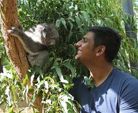Healesville Sanctuary - Accommodation Gladstone 0