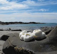 Calma Candles - Accommodation Gladstone