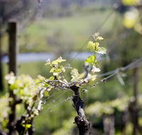 Eldridge Estate of Red Hill - Accommodation Gladstone