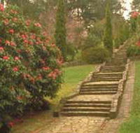 Maroondah Reservoir Park - Accommodation Gladstone