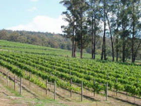 Toorongo VIC Accommodation Gladstone