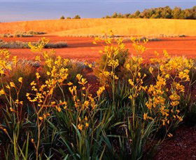 Royal Botanic Gardens Victoria Cranbourne - Accommodation Gladstone 0
