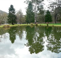 Mountain Fresh Trout and Salmon Farm - Accommodation Gladstone