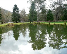 Mountain Fresh Trout And Salmon Farm - Accommodation Gladstone 0