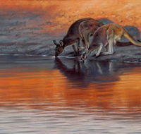 Steve Morvell Wildlife Art - Accommodation Gladstone