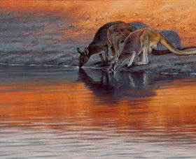 Steve Morvell Wildlife Art - Accommodation Gladstone 0