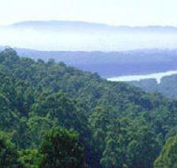 Kalorama Park - Accommodation Gladstone