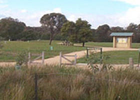 Dandenong Police Paddocks Reserve - Accommodation Gladstone 0