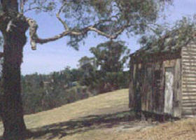 Hawkstowe Picnic Area - Accommodation Gladstone 0