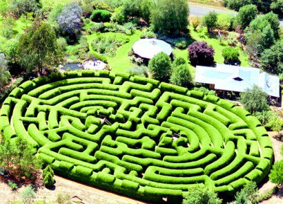Wandiligong Maze - Accommodation Gladstone 0