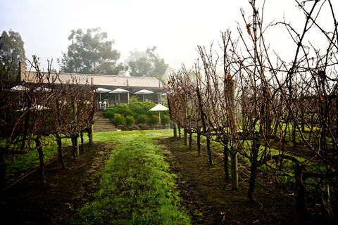 GREENSTONE VINEYARDS - Accommodation Gladstone 4