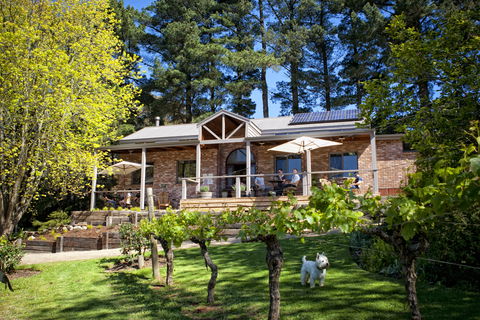 Main Ridge Estate - Accommodation Gladstone 2