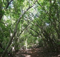 Eucalypt Trail - Accommodation Gladstone
