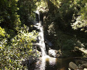 Macquarie Pass National Park - Accommodation Gladstone 0