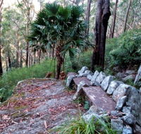 Wodi Wodi Walking Track - Accommodation Gladstone