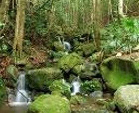 Budderoo National Park - Accommodation Gladstone 0