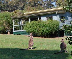 Murramarang National Park - Accommodation Gladstone 0