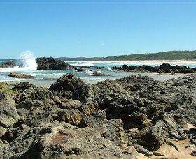 Coastal Walks - Bermagui - Accommodation Gladstone 0