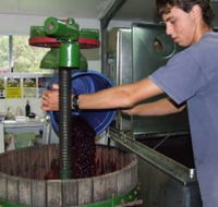 Fern Gully Winery - Accommodation Gladstone