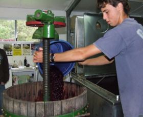 Fern Gully Winery - Accommodation Gladstone 0