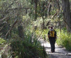 Barren Grounds Nature Reserve - Accommodation Gladstone 0