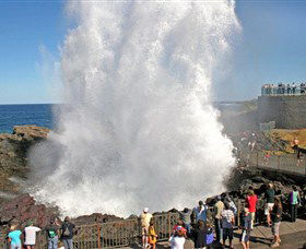 Kiama Blowhole - Accommodation Gladstone 0